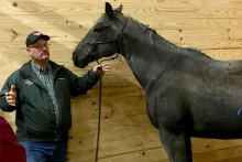 Dr. Sam Crosby Good Work for Horses honoree