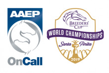 AAEP On Call Program to Serve Breeders’ Cup Telecast