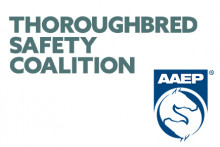 AAEP joins Thoroughbred Safety Coalition