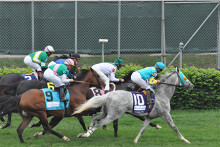 AAEP Statement about Federal Charges Against Veterinarians in Horse Racing Investigation