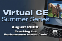 2020 AAEP Virtual Summer CE Series