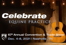 Celebrate Equine Practice at the 2021 AAEP Annual Convention in Nashville