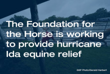 The Foundation for the Horse is working to provide hurricane Ida equine relief