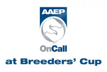 AAEP On Call at 2021 Breeders' Cup