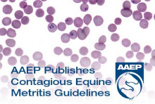 AAEP Publishes Contagious Equine Metritis Guidelines