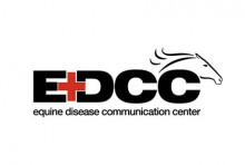 Equine Disease Communication Center Latest Updates on EHV-1