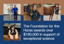 The Foundation for the Horse Awards Over $190,000 in Support of Exceptional Science by Accomplished Researchers 