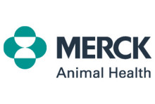 Merck Animal Health Renews Scholarship Support for Equine Veterinary Students Through The Foundation for the Horse