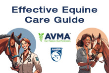 AVMA, AAEP unveil new guide for equine practices