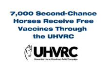 7,000 Second-Chance Horses Receive Complimentary Core Vaccines Through the UHVRC